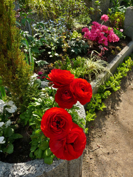  - 2024 - 01 - Primavara