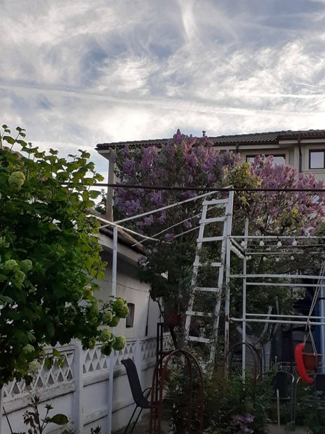  - FEBRUARIE- MARTIE- APRILIE