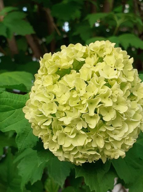  - FEBRUARIE- MARTIE- APRILIE