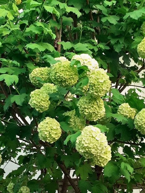  - FEBRUARIE- MARTIE- APRILIE