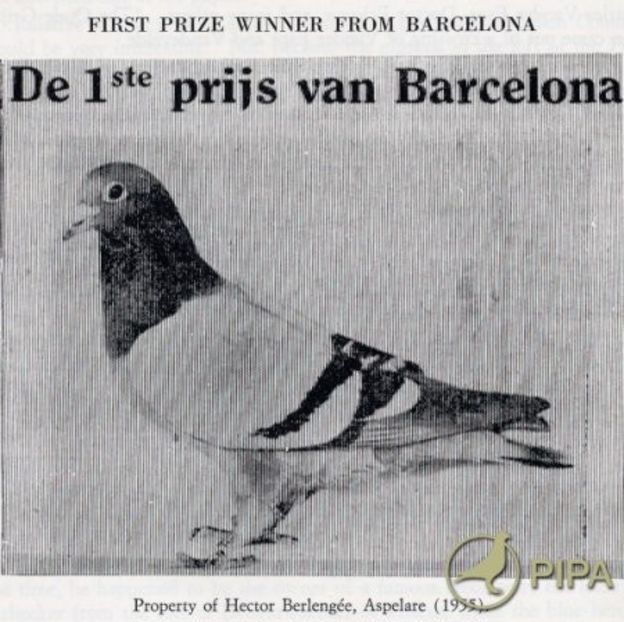 1 int Barcelona 1949 - Barcelona internațional