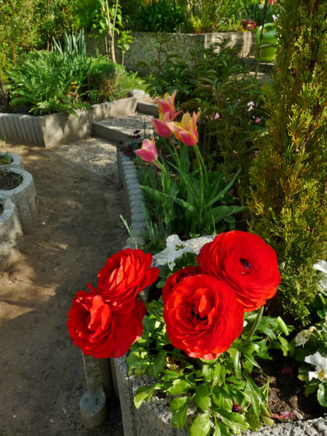  - 2024 - 01 - Primavara