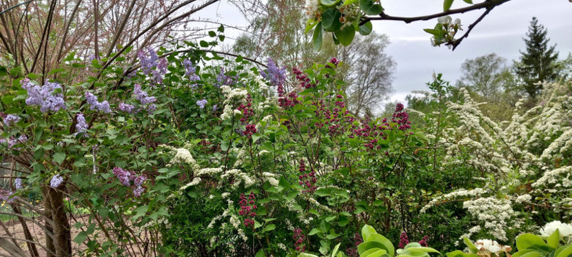  - 2024 - 01 - Primavara