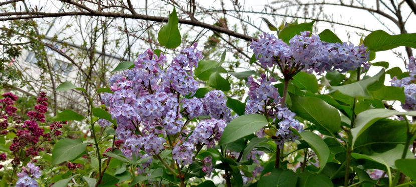  - 2024 - 01 - Primavara