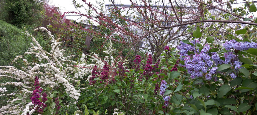  - 2024 - 01 - Primavara