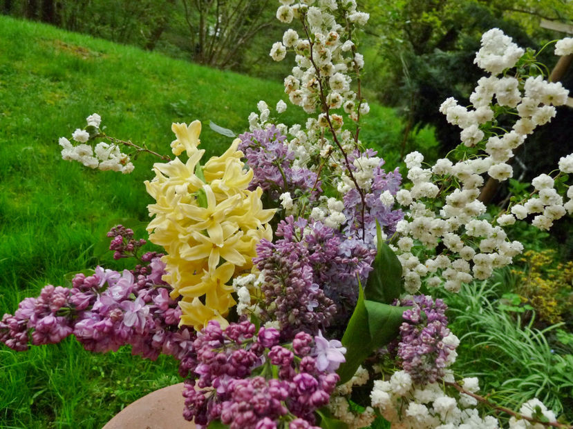  - 2024 - 01 - Primavara