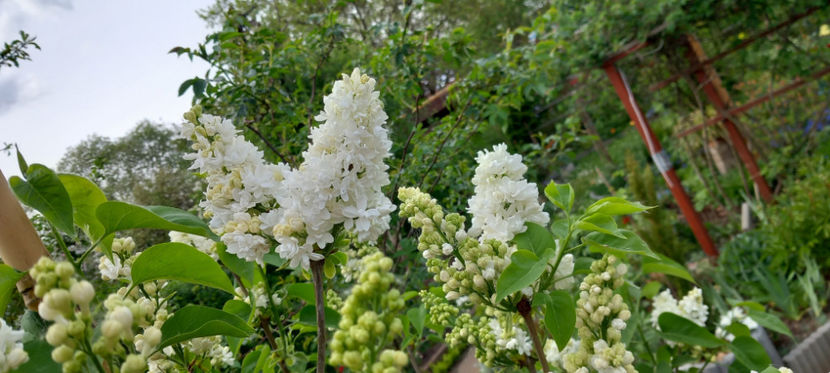  - 2024 - 01 - Primavara