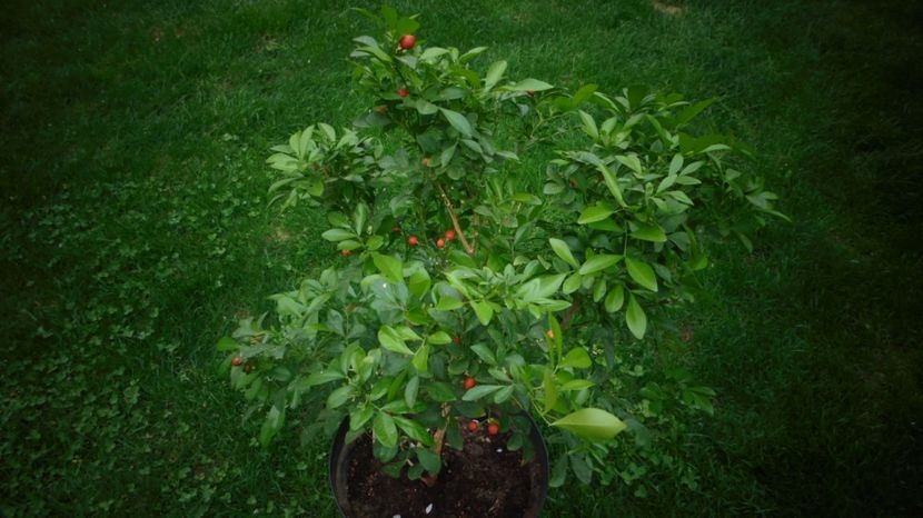 Unui om deosebit,multumiri,sanatate si bucurii! - 2024