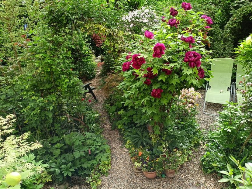  - Grădina 2024 continuare 1