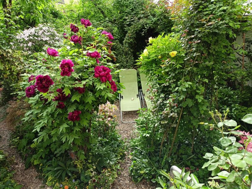  - Grădina 2024 continuare 1