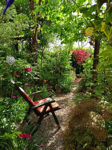  - Grădina 2024 continuare 1