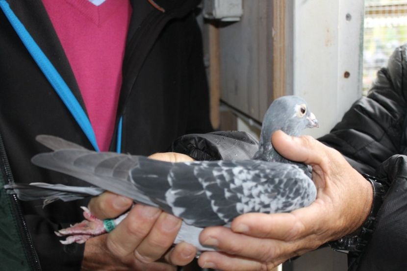 1-1536x1024 - IJSBRAND KAPTEIN