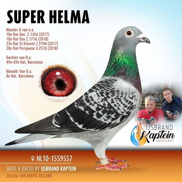 13516-54031 (1) - IJSBRAND KAPTEIN