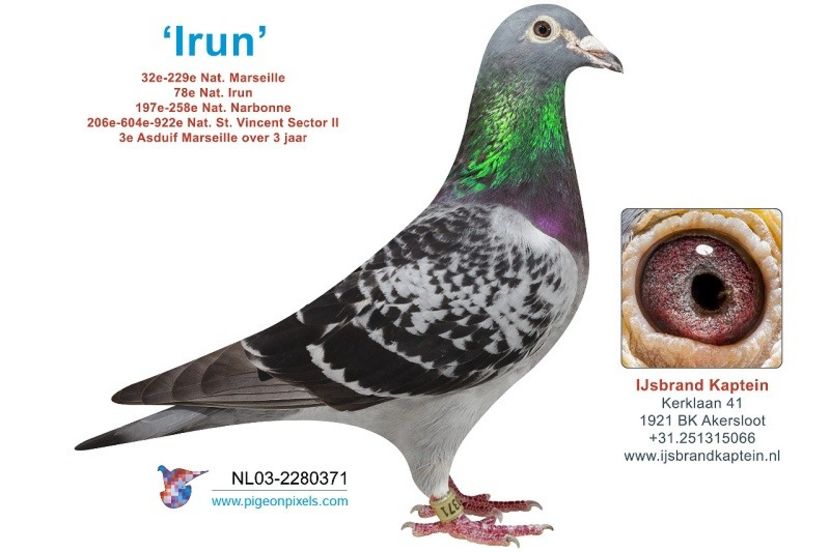 13516-54030 - IJSBRAND KAPTEIN