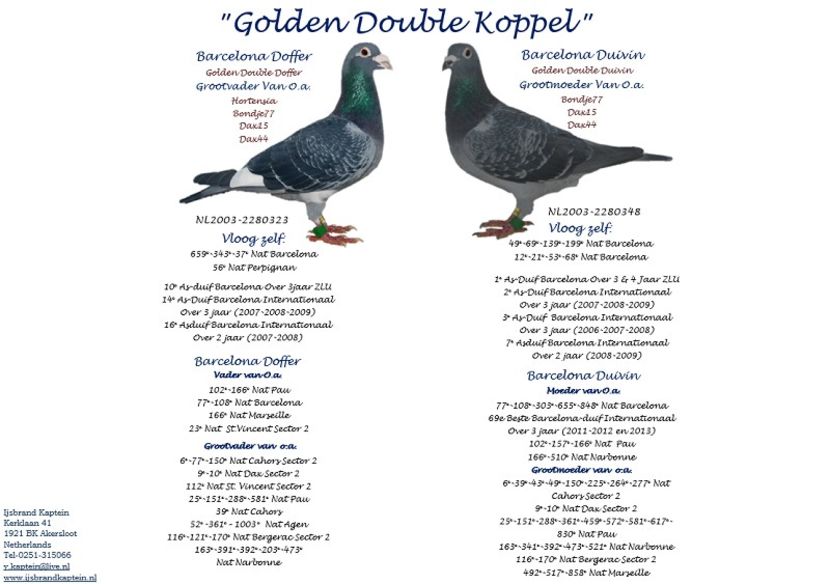 13516-54026 - IJSBRAND KAPTEIN