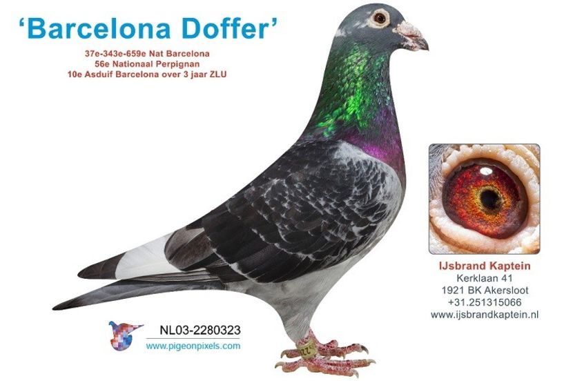 13516-54028 - IJSBRAND KAPTEIN