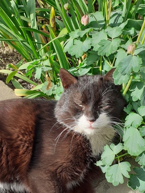  - FEBRUARIE- MARTIE- APRILIE