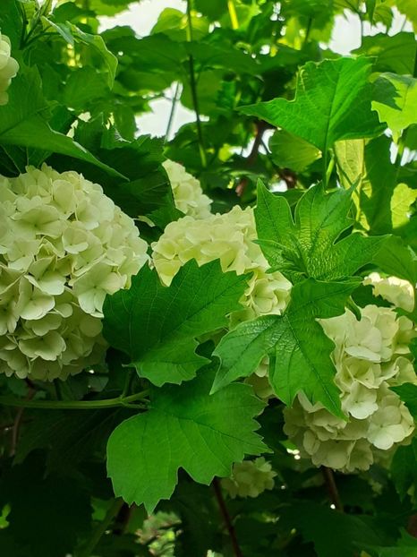  - FEBRUARIE- MARTIE- APRILIE