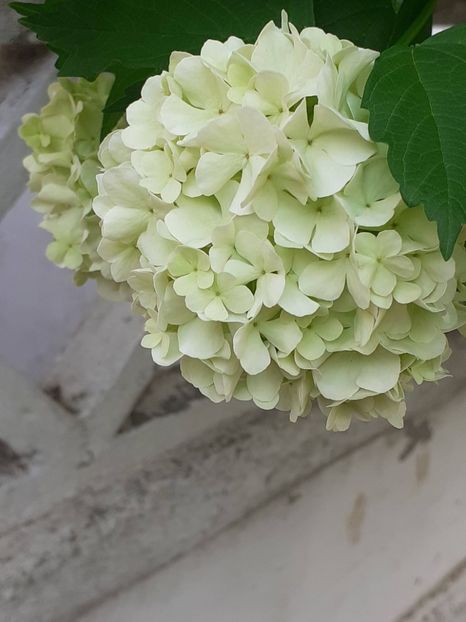  - FEBRUARIE- MARTIE- APRILIE