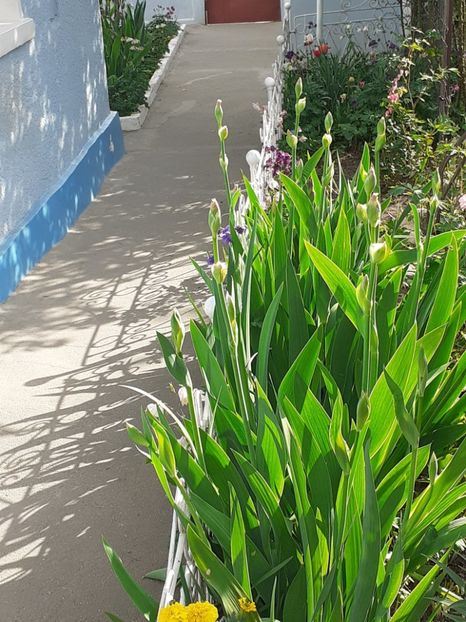  - FEBRUARIE- MARTIE- APRILIE