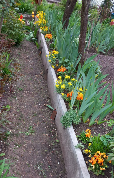  - 2024 - 01 - Primavara