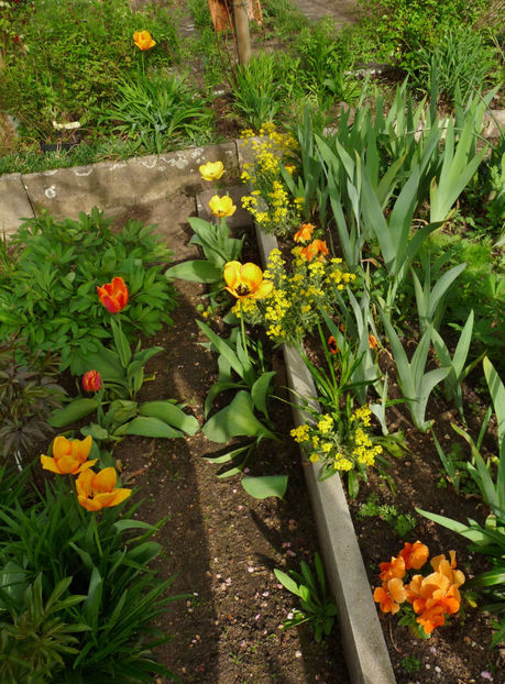  - 2024 - 01 - Primavara