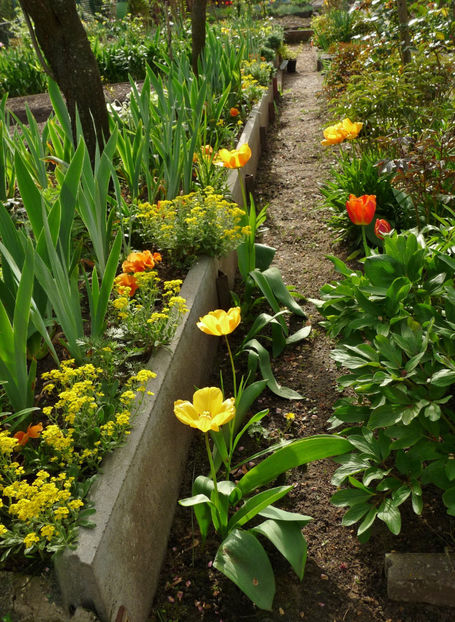  - 2024 - 01 - Primavara