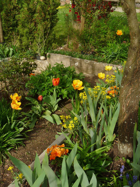  - 2024 - 01 - Primavara