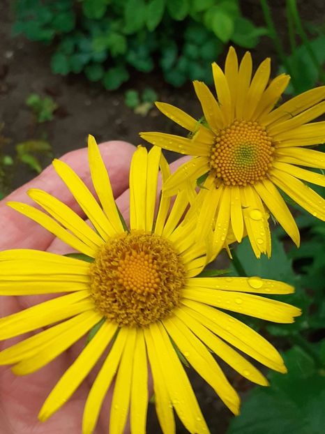  - FEBRUARIE- MARTIE- APRILIE