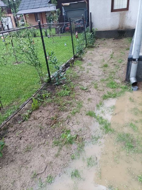  - casa noua