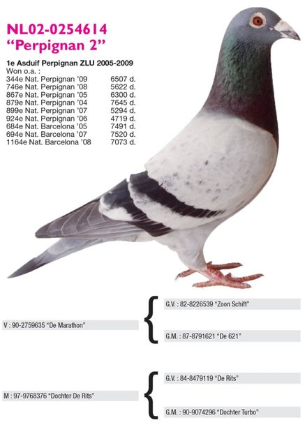 Perpignan-2 - ANTOON SI LUCI WAN DER WEGEN