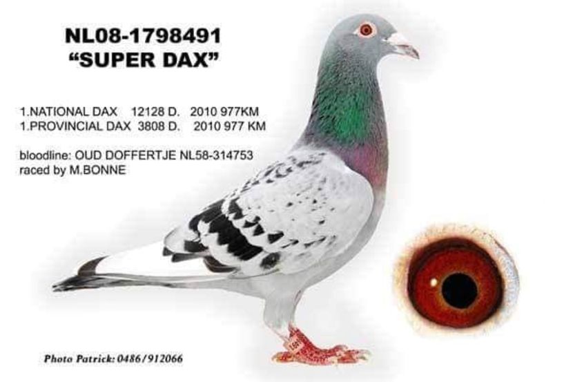  - ANTOON SI LUCI WAN DER WEGEN