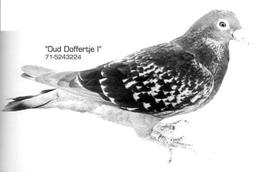  - ANTOON SI LUCI WAN DER WEGEN