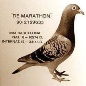  - ANTOON SI LUCI WAN DER WEGEN