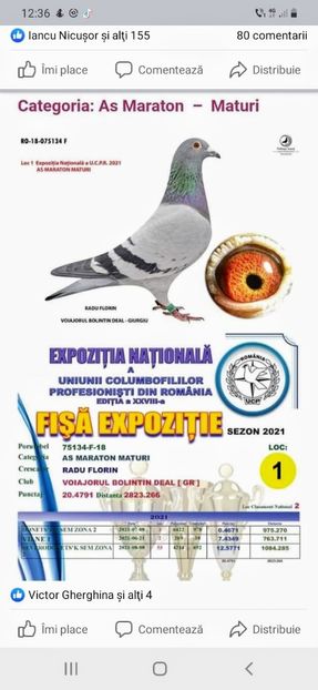 Radu Fl - se certifica