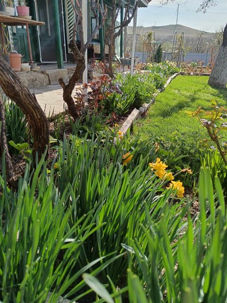 437922503_368650509486123_6362405882014338119_n (1) - NARCISE