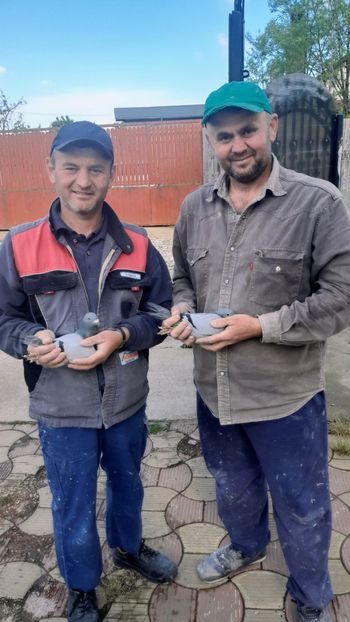 Fratii Radu - Campionii