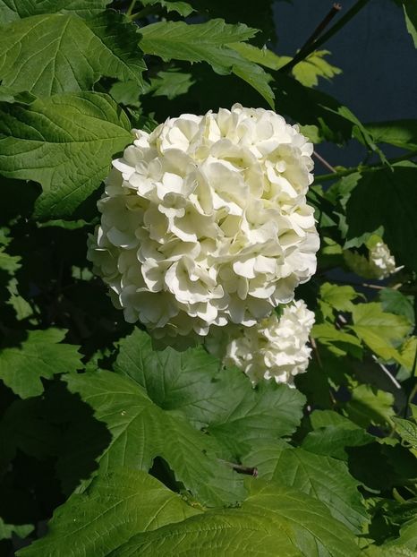  - FEBRUARIE- MARTIE- APRILIE