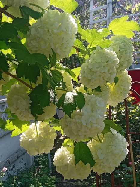  - FEBRUARIE- MARTIE- APRILIE