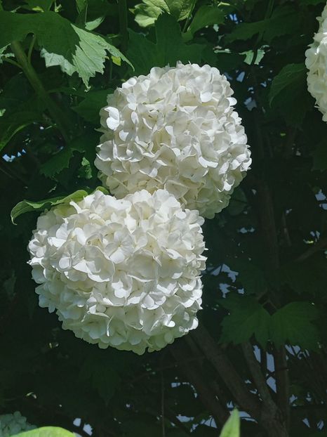  - FEBRUARIE- MARTIE- APRILIE