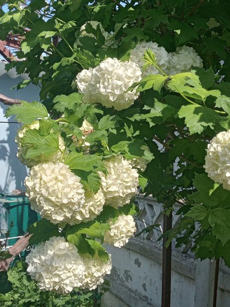  - FEBRUARIE- MARTIE- APRILIE