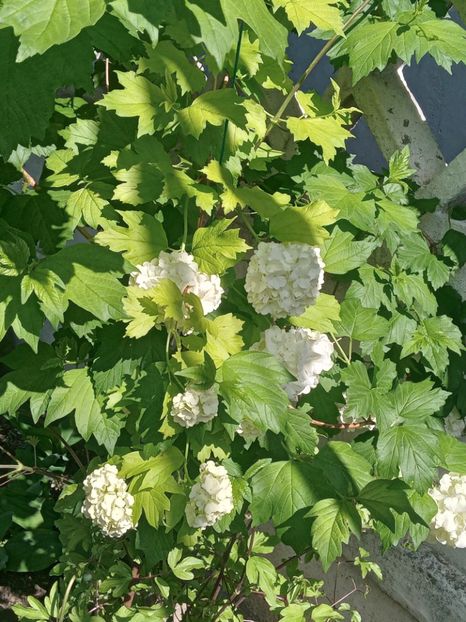  - FEBRUARIE- MARTIE- APRILIE