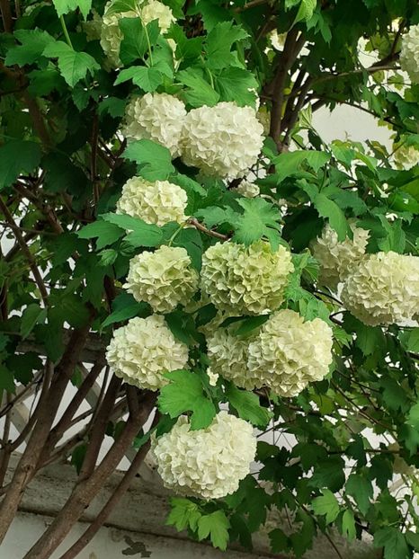  - FEBRUARIE- MARTIE- APRILIE