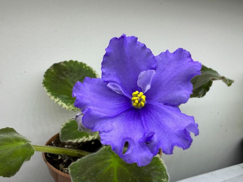 19 aprilie 2024 - EK Zhilishche Boga