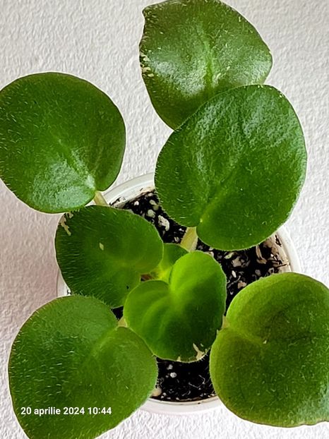 LE Art de Vie 20 - 0 a a disponibile Mai 2024