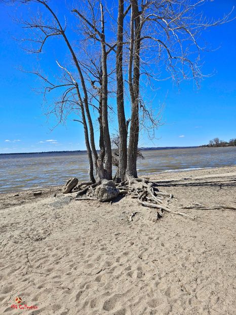 Spring Time on Outauais River 4 - CANADIAN SPRING - Primavara canadiana