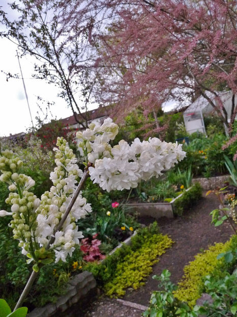  - 2024 - 01 - Primavara