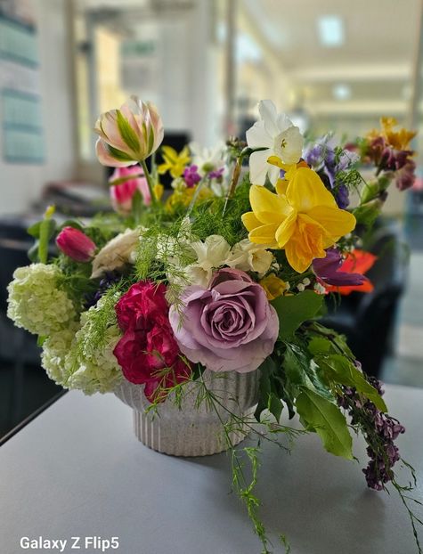  - Narcise 2018 24 25