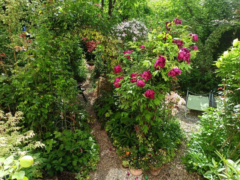  - Grădina 2024 continuare 1