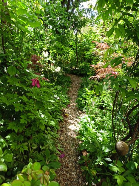  - Grădina 2024 continuare 1